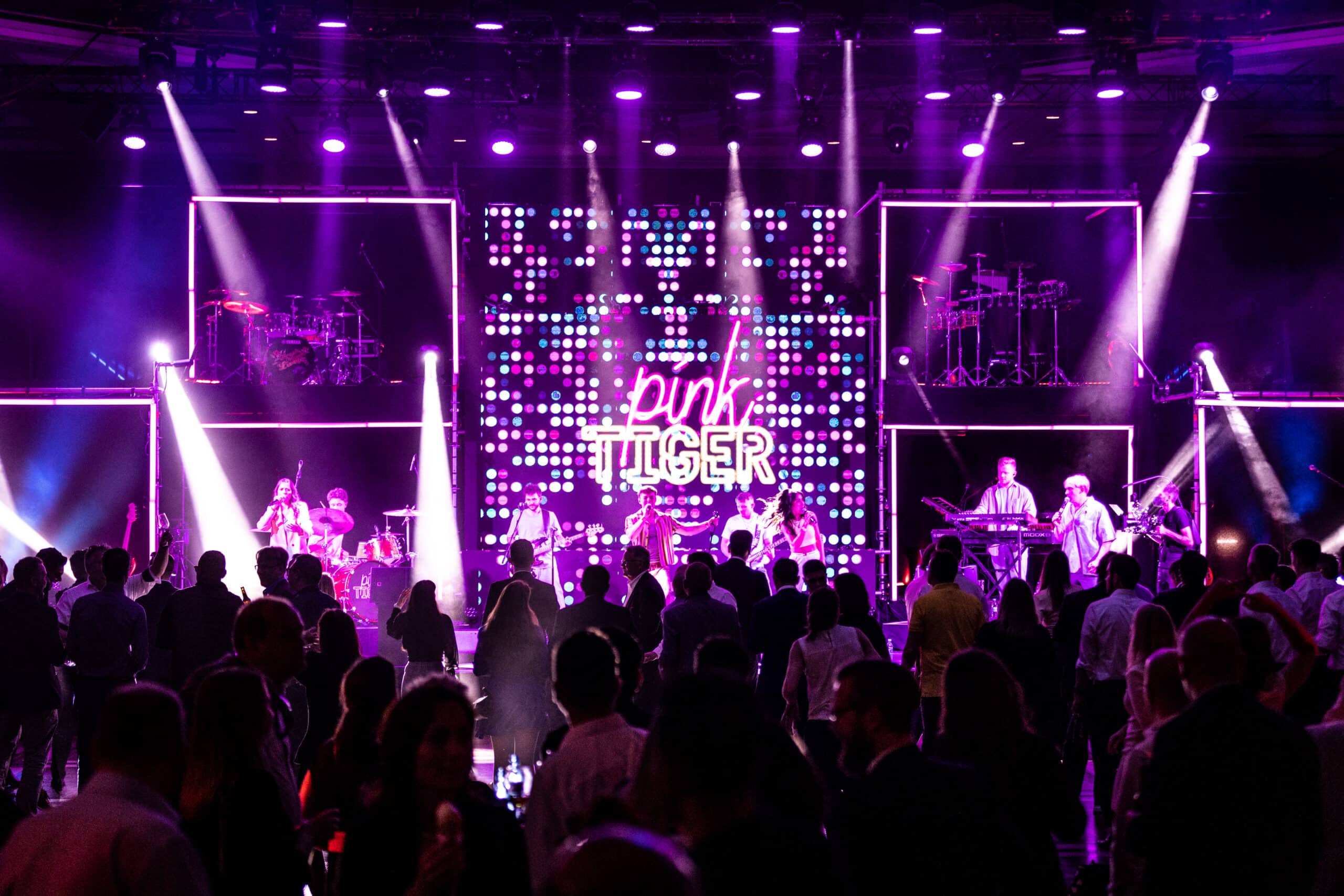 Pink Tiger Band Live